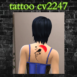 tattoo cv2247 project image