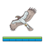 Skyriding Falcon logo
