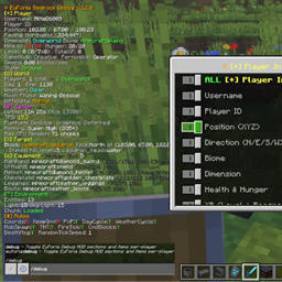 EuForia Bedrock Debug logo