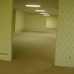Backrooms in the Overworld