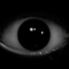 Isolation (Horror) logo