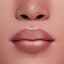 cosmosim lipstick N8old logo