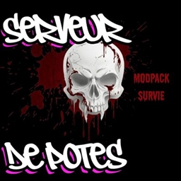 Serveurs de potes modpack survie logo