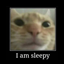 Cat Central logo