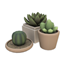 Comiko - Living Modern Farm Plants logo