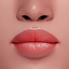 cosmosim lipstick N16old logo