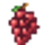 Simple Grapes logo