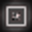 CharredNM logo