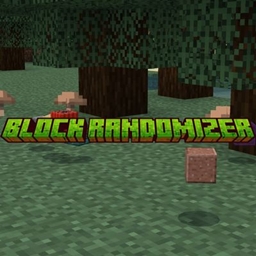 Block Randomizer project image
