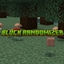 Block Randomizer logo