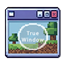 True Window logo