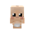 Normal  NPC Player logo