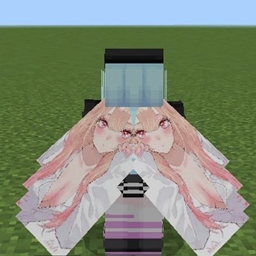 Cute Elytra by Mnj Zx project image