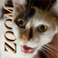 CineZoom [zooming like an optifine!] logo