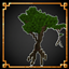 Custom Mangrove trees logo