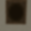 hello infestation logo