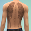Wings of Protection Male back tattoo Base Game logo