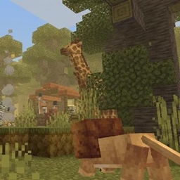 wild biomes project image
