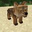 Animal Garden - Culpeo Fox logo
