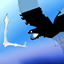 Liness Skyness logo