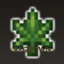 Druidcraft Regrown logo
