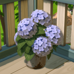 Rust and Royalty Hydrangea Bucket project image