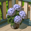 Rust and Royalty Hydrangea Bucket logo