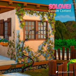 The grapevine project image