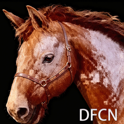 DFCN_MountHelper project image
