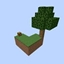 Skyblock With Biomes logo