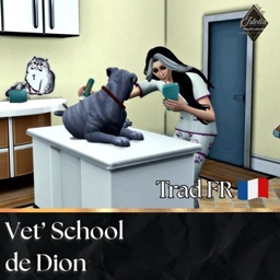 Vet' School de Dion | Trad FR project image