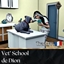 Vet' School de Dion | Trad FR logo