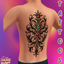 Jane Tattoos JTS1100 - Basegame Compatible logo