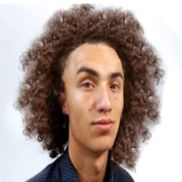 Kwebbelkop Laugh Totem project image