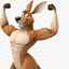bohi stream pack logo