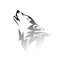 NightRiders - Servidor Mods logo