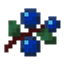 More Berries logo