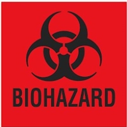 quarantine zone project image