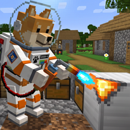 Beyond Cosmo - Shiba Flavour project image