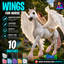 Pegaso wings by jochi logo