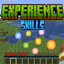 Experience Skills logo