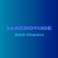 Macrotude logo