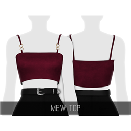 Simpliciaty's Mew Top project image