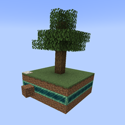 Physics Skyblock World