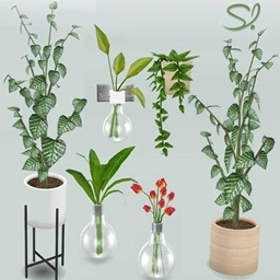 Plants 🍃💚🌱 logo