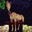Creepy Horse Reimagined logo
