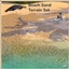 Beach Sand Terrain Set logo