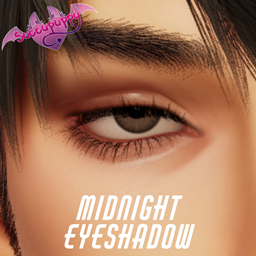Midnight eyeshadow project image