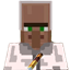 Village Doctor logo