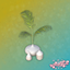 Marabor - Plant logo